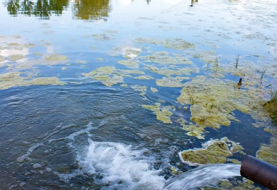 from clipboard from clipboard